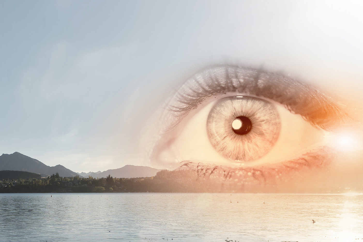 EMDR vs. Talk Therapy: Which Is Right for You?