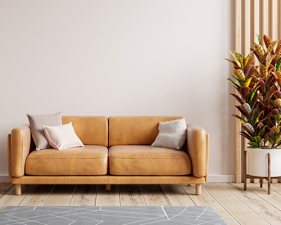 Couch representing psychotherapy in New Jersey